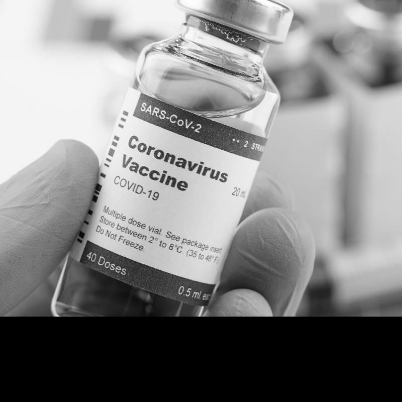 There isn’t pork in Covid-19 vaccines