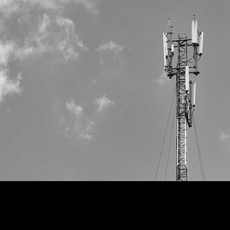 Dead birds in India were not killed by 5G