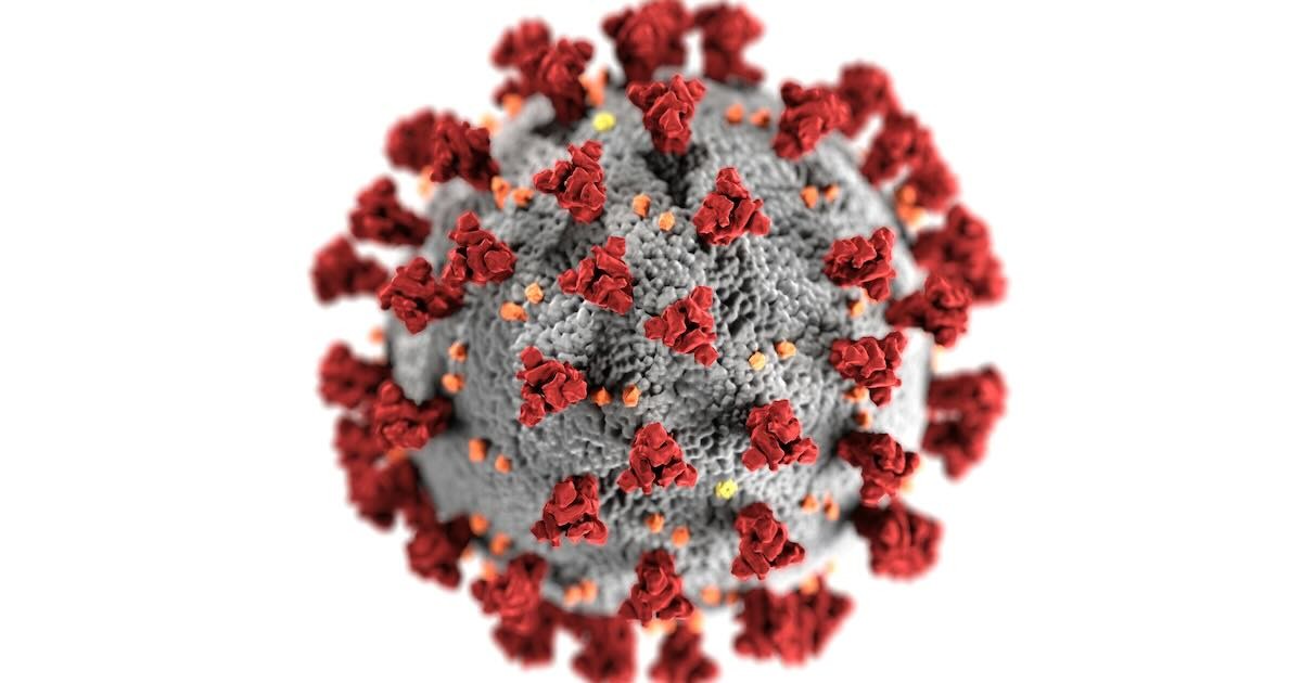 The Covid-19 virus does exist