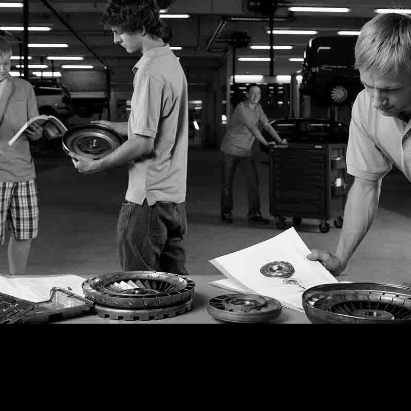 Has the number of people starting apprenticeships fallen?