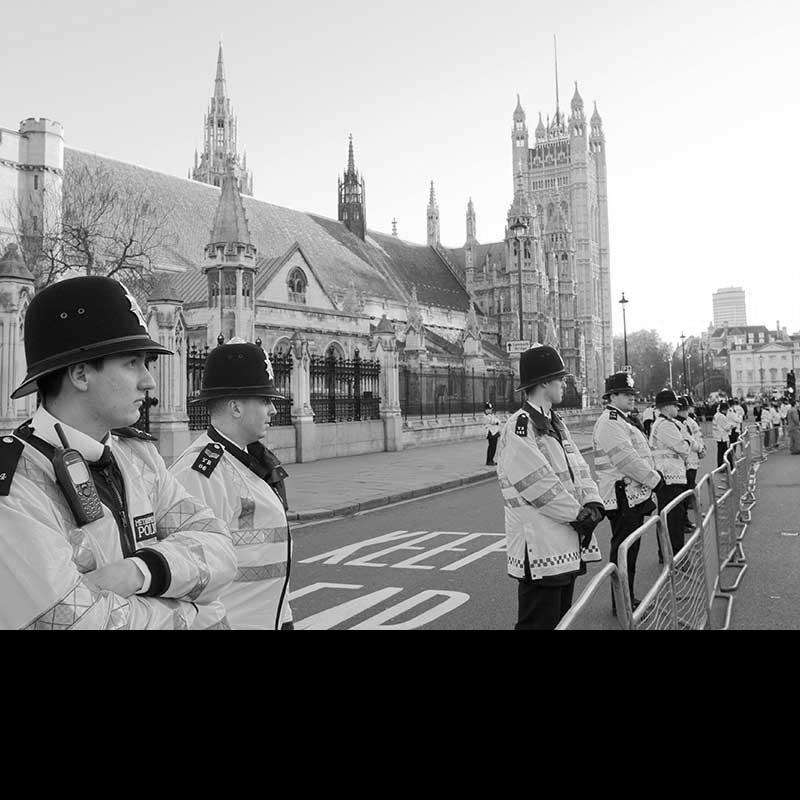 Poll about support for violence against MPs is flawed