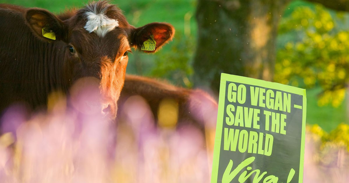 It's unclear where these facts about veganism are from - Full Fact