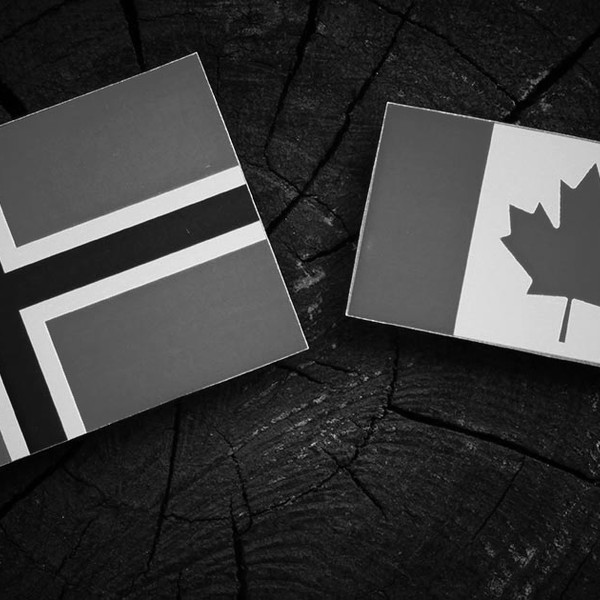Post-Brexit trade deals: the Norway and Canada options explained