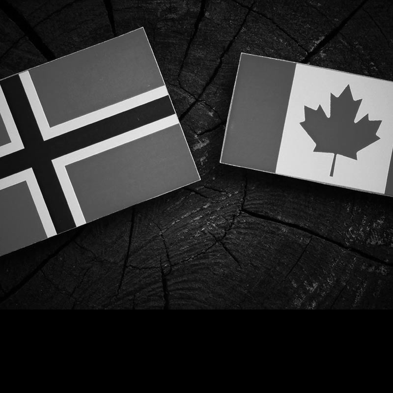 Post-Brexit trade deals: the Norway and Canada options explained