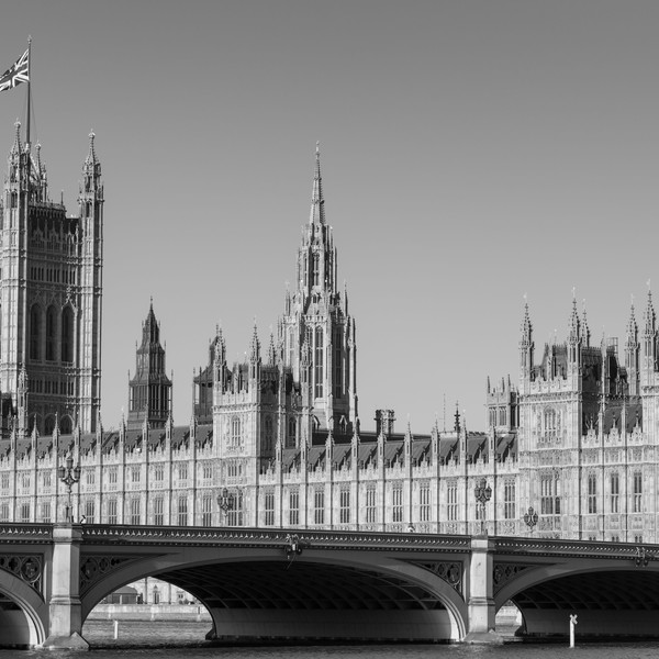 How much money do members of the House of Lords get?