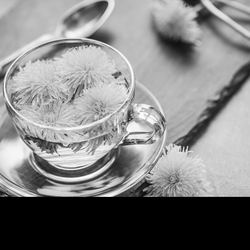 Dandelion root is not a proven cancer cure