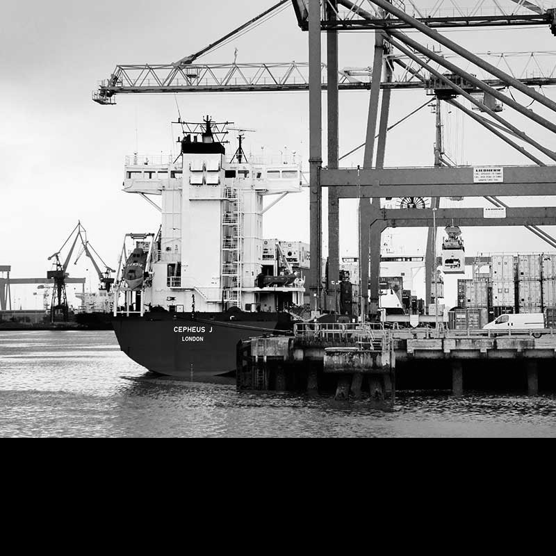 What do leaked Treasury documents tell us about checks on goods crossing the Irish Sea?