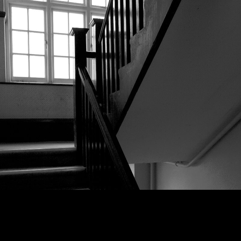 Sexual violence and domestic abuse