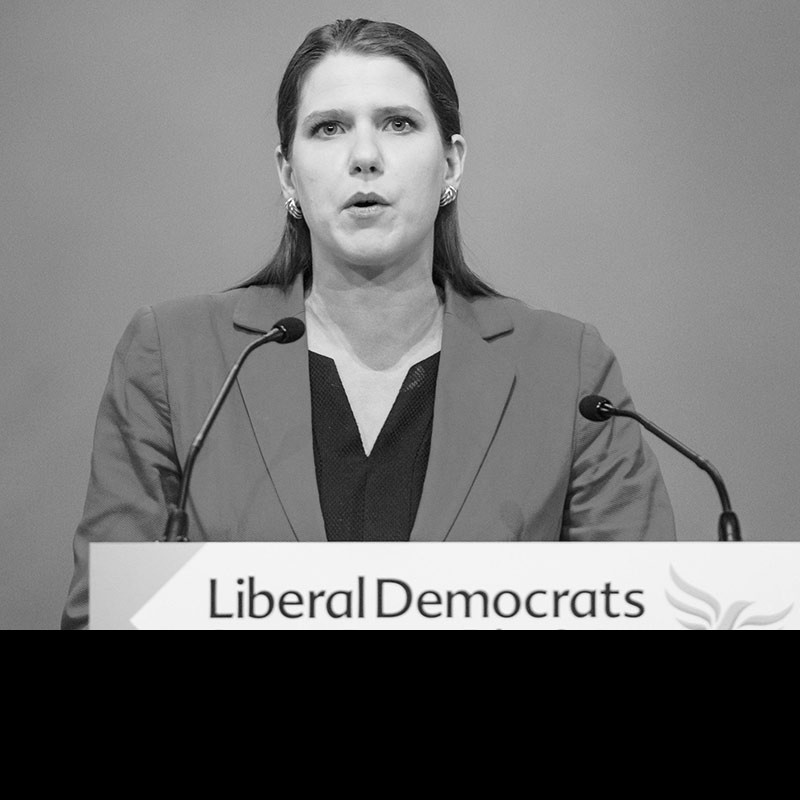 Jo Swinson said the Liberal Democrats supported an EU referendum in 2008