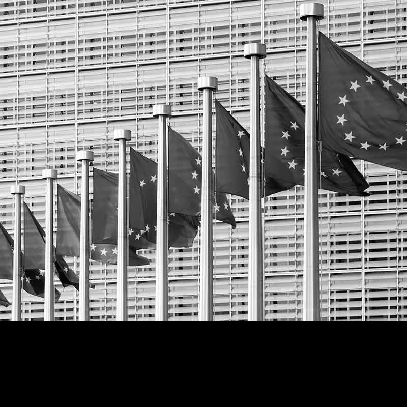 EU staff don’t lose their pensions for criticising the EU