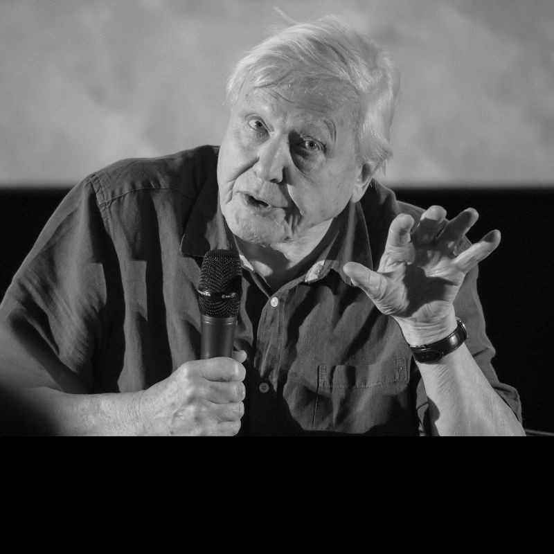 No evidence Sir David Attenborough made viral comments about HS2