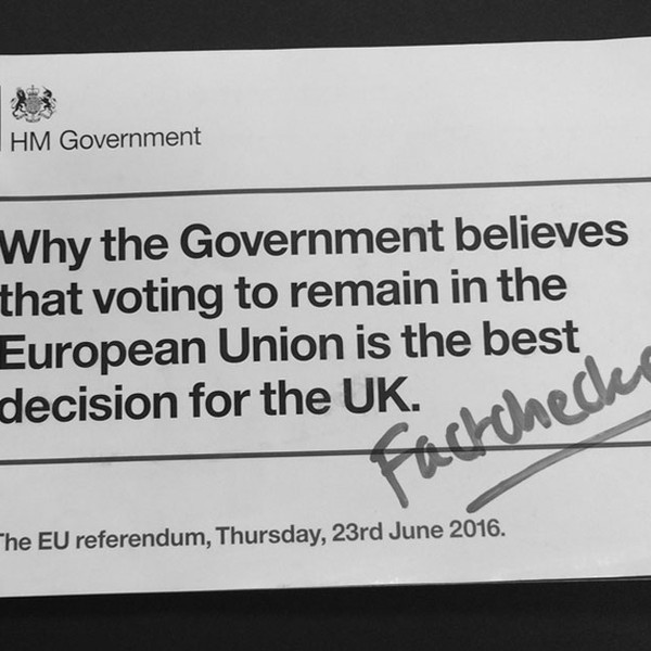 The government's EU leaflet: introduction
