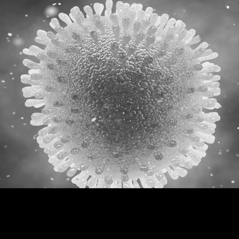 The infectious diseases in an ONS graph are not the ones you might expect
