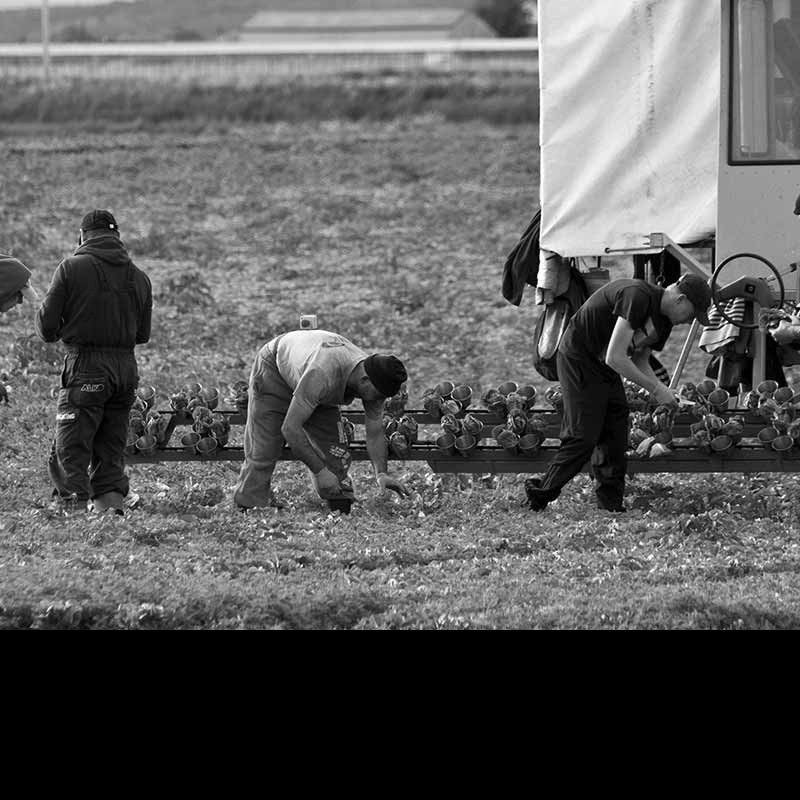 Inaccuracies spreading about UN migration pact