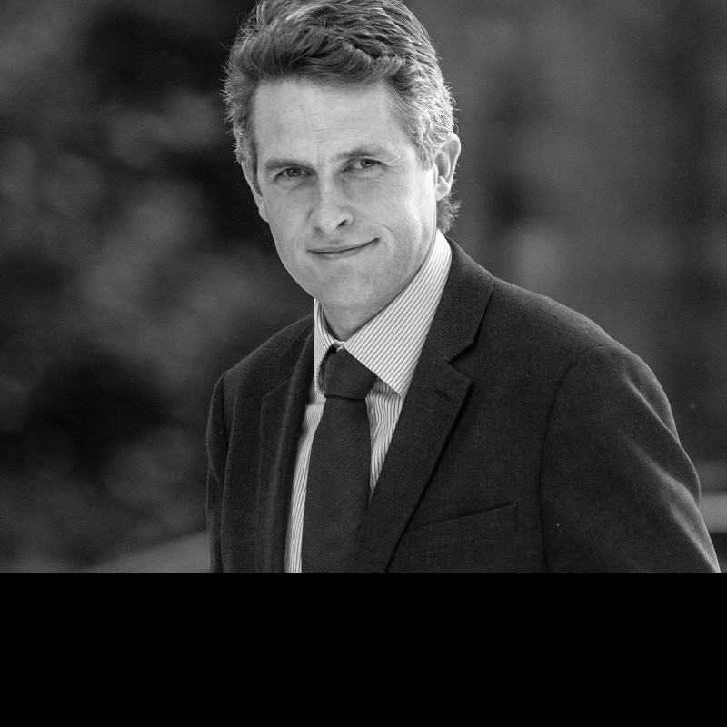 Gavin Williamson did not say pupils will be overpromoted into jobs that are beyond their competence