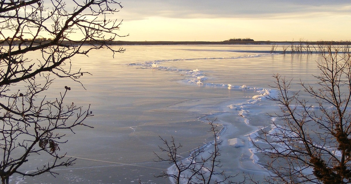 Footage of dead birds on a frozen lake is from South Dakota, not China
