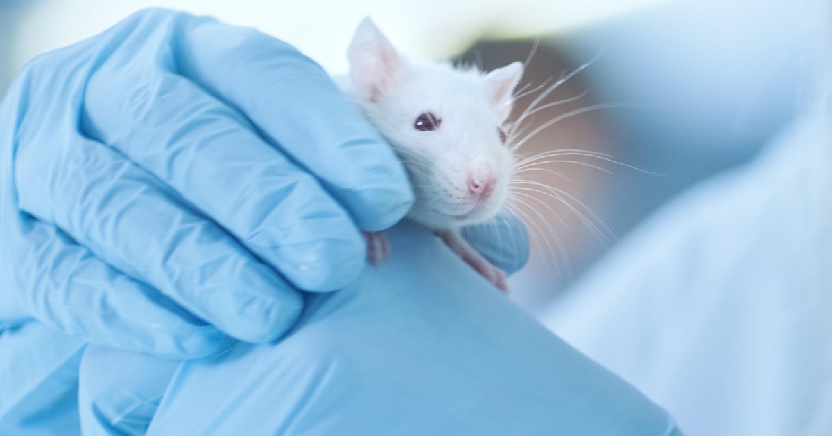 Covid-19 vaccines passed animal trials - Full Fact