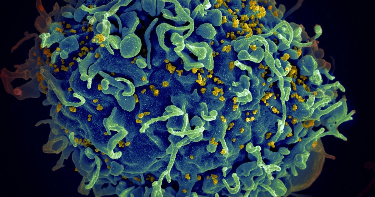 A Covid vaccine made with HIV protein was trialled but never rolled out