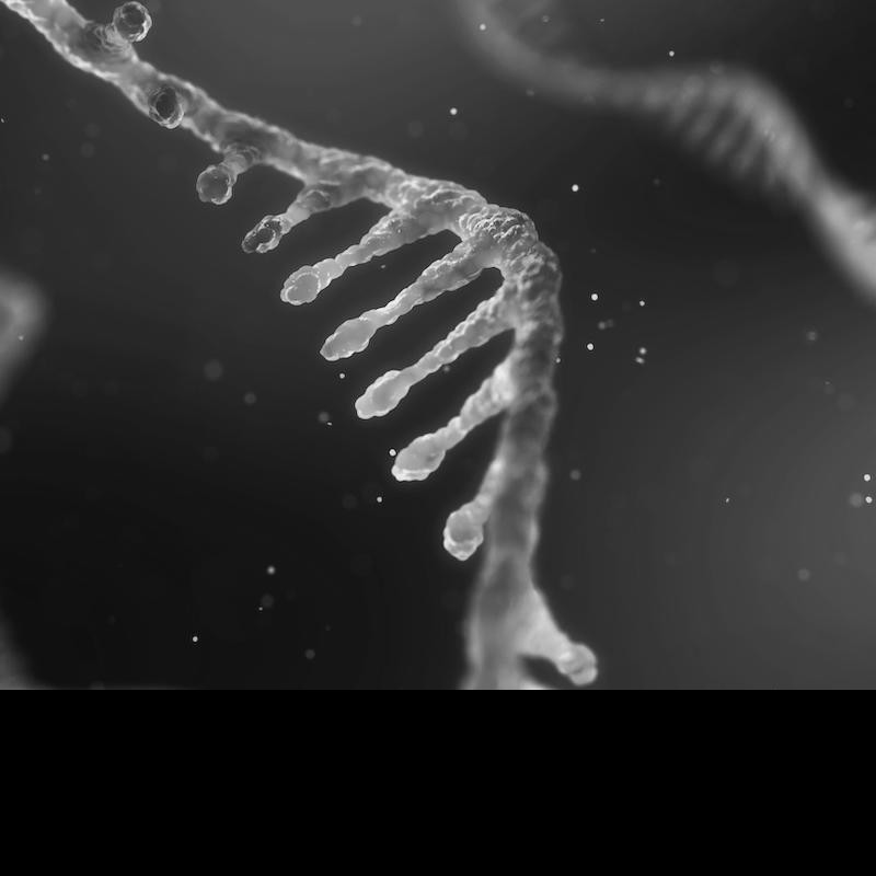 Moderna’s Covid-19 vaccine will not change your DNA