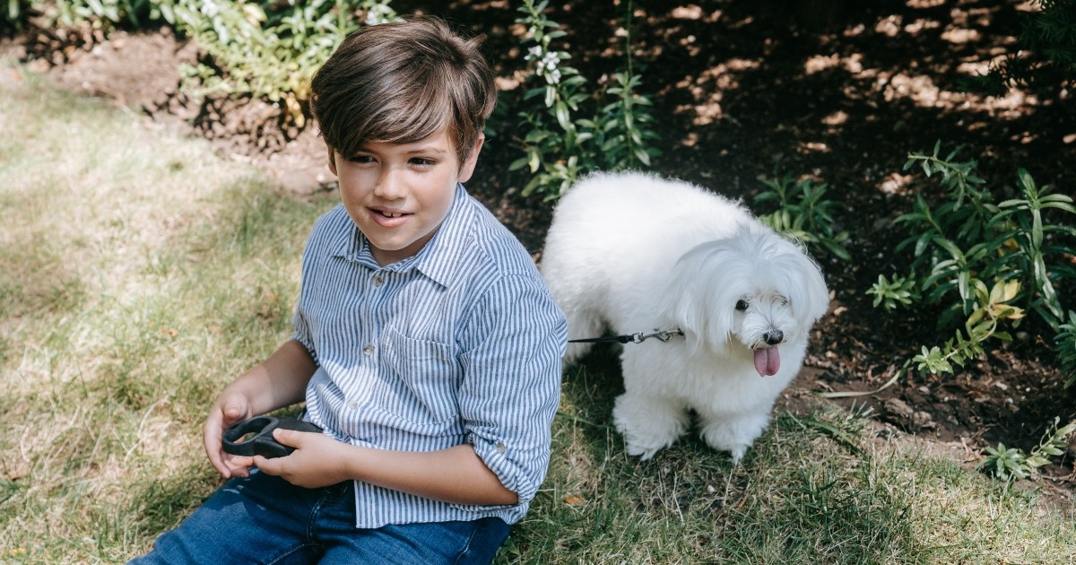 Hoax alert about missing boy and dog uses stock image