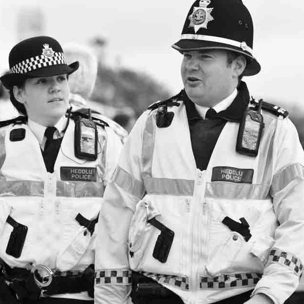 Police budgets, numbers and community policing