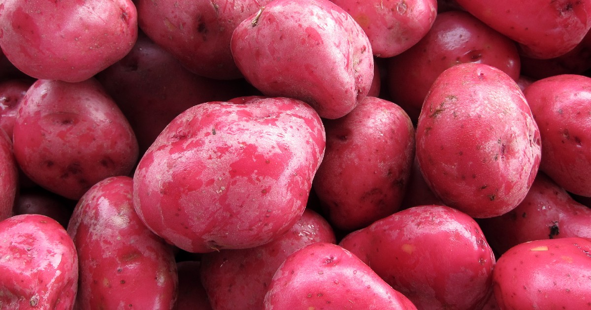 Red potatoes aren’t artificially dyed