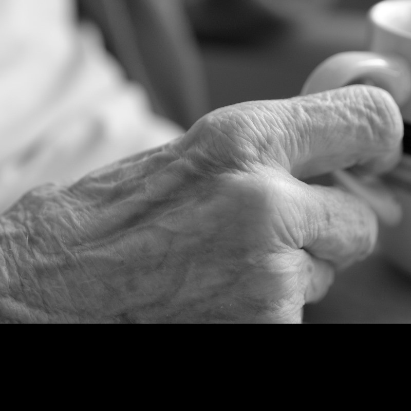 It’s not certain that 87 people a day are dying waiting for care