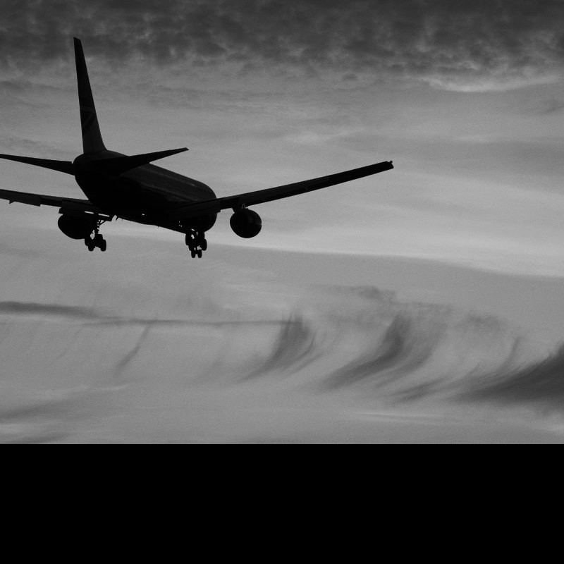 Can we trust our immigration figures?