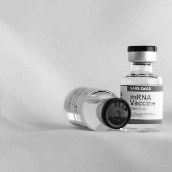 Government modelling not proof of vaccine ‘genocide’