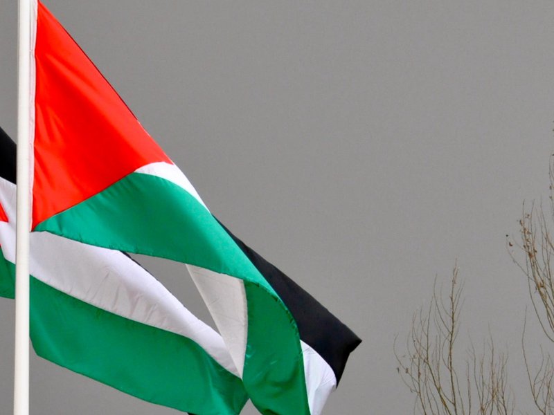 Palestinian flags