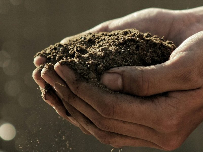 Two hands holding some garden soil
