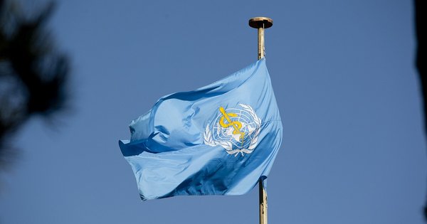 2048px-world_health_organization_flag_resize.jpg