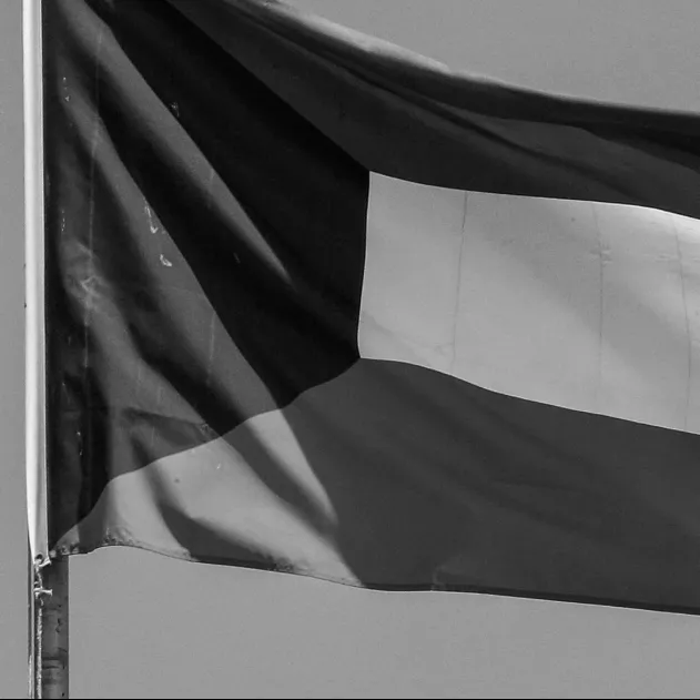 The Kuwaiti national flag.