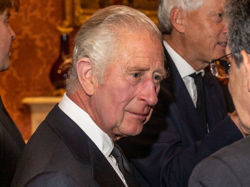 An image of King Charles at a reception in Buckingham Palace in 2022.