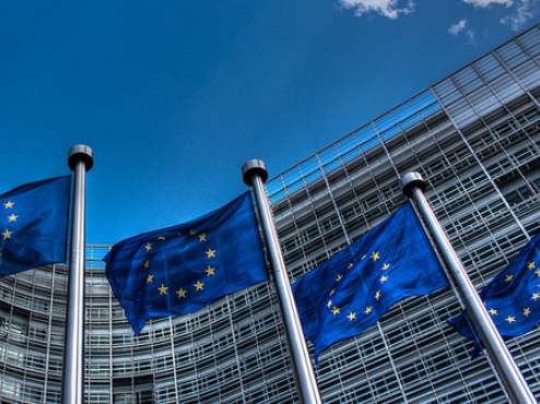 ff-wp-files/2015/08/EU-flags.png