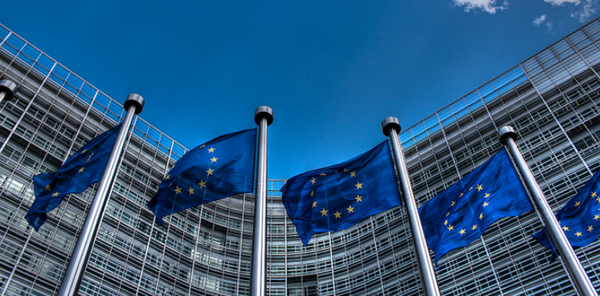 ff-wp-files/2015/08/EU-flags.png