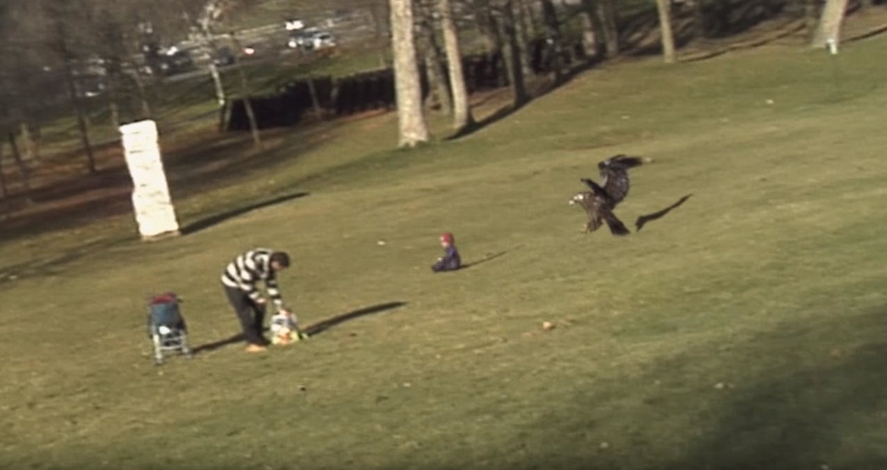Eagle_fake.PNG