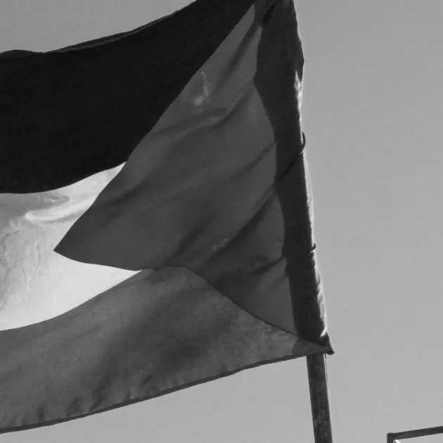 The Palestinian flag