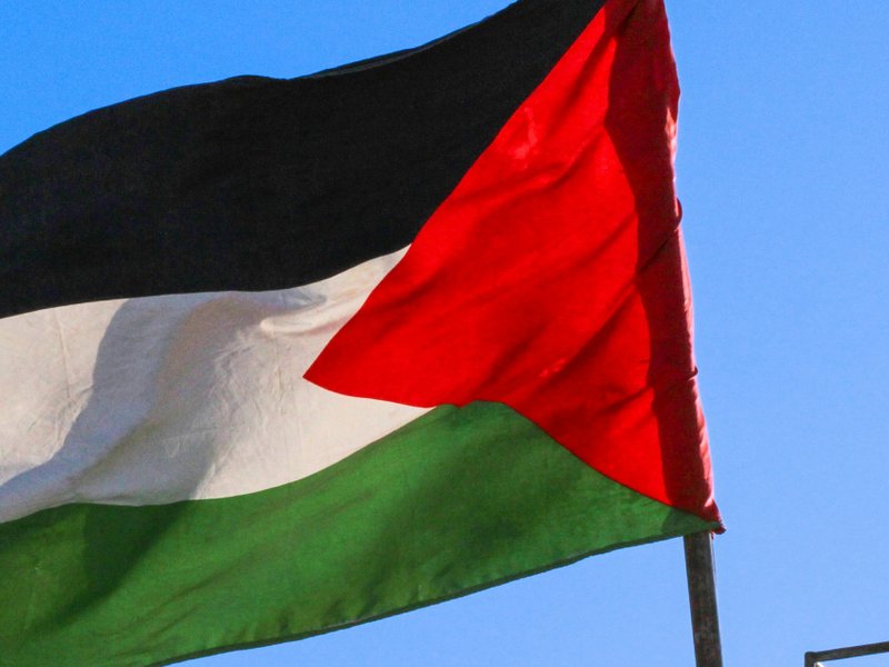 The Palestinian flag