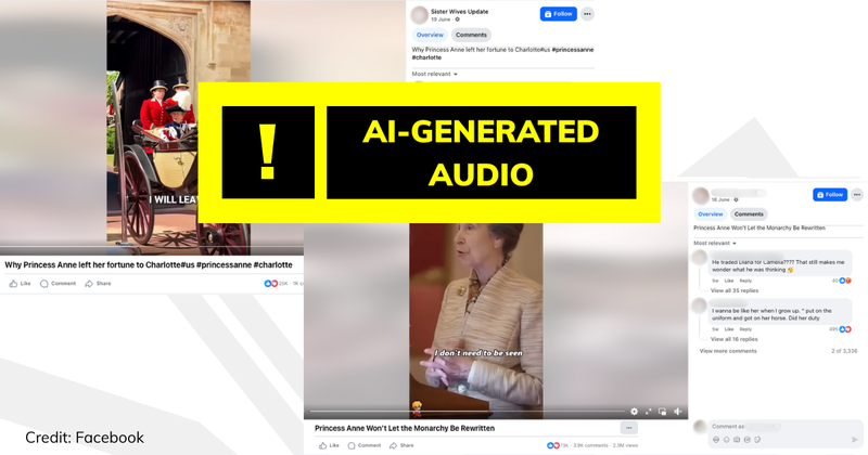 Princess Anne deepfake debunk image