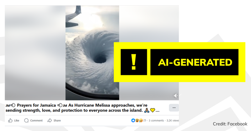 A screenshot of the video with a verdict saying 'AI-generated'