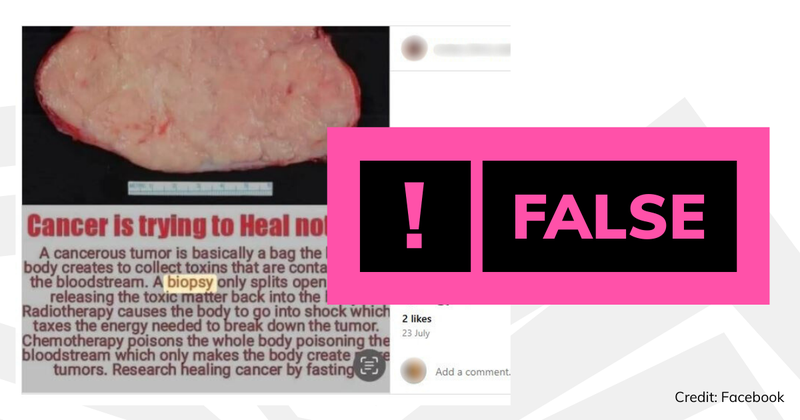 The post being shared on Facebook with a rating saying 'false'.