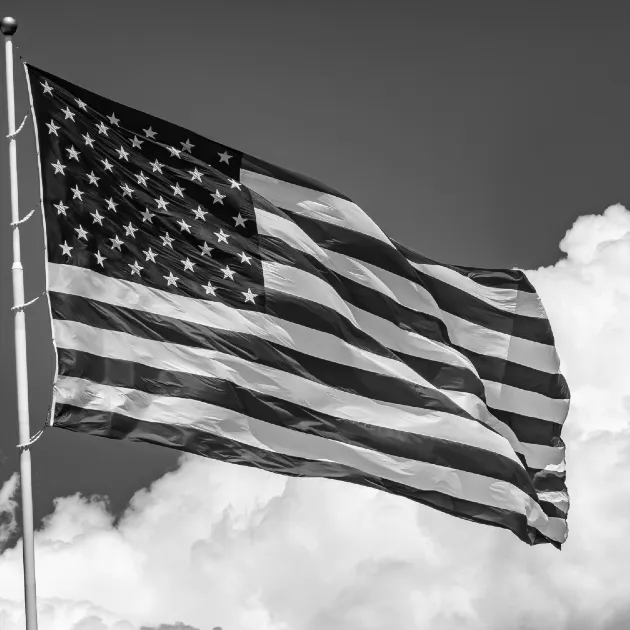 The American flag