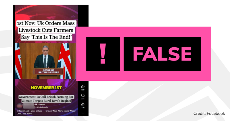 A screenshot of the video with a verdict saying 'false'