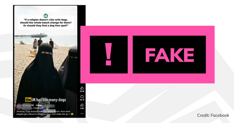 A screenshot of the video with overlaid text saying 'fake'.