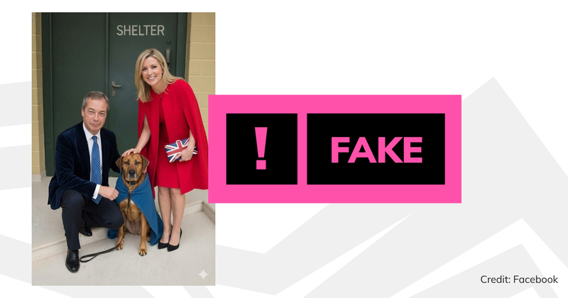 A screenshot of the image with overlaid text saying 'fake'.