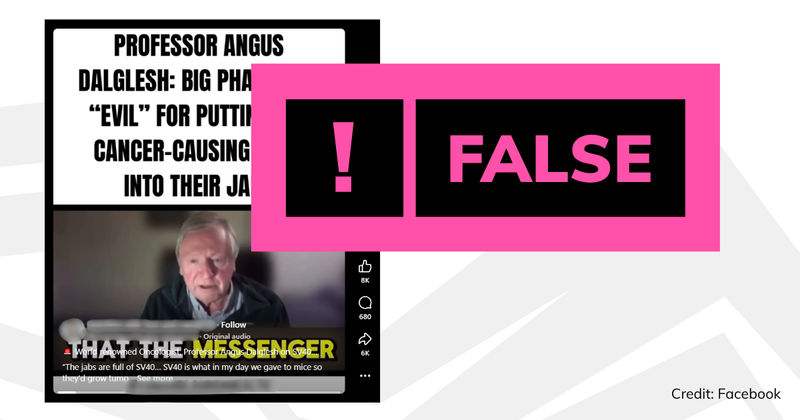 A screenshot of the video with a verdict saying 'false'