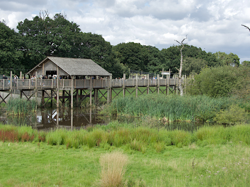 A viewing area at Yorkshire Wildlife Park.