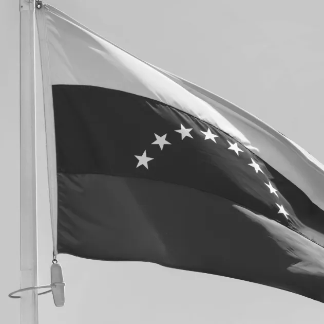 A picture of the Venezuelan flag.