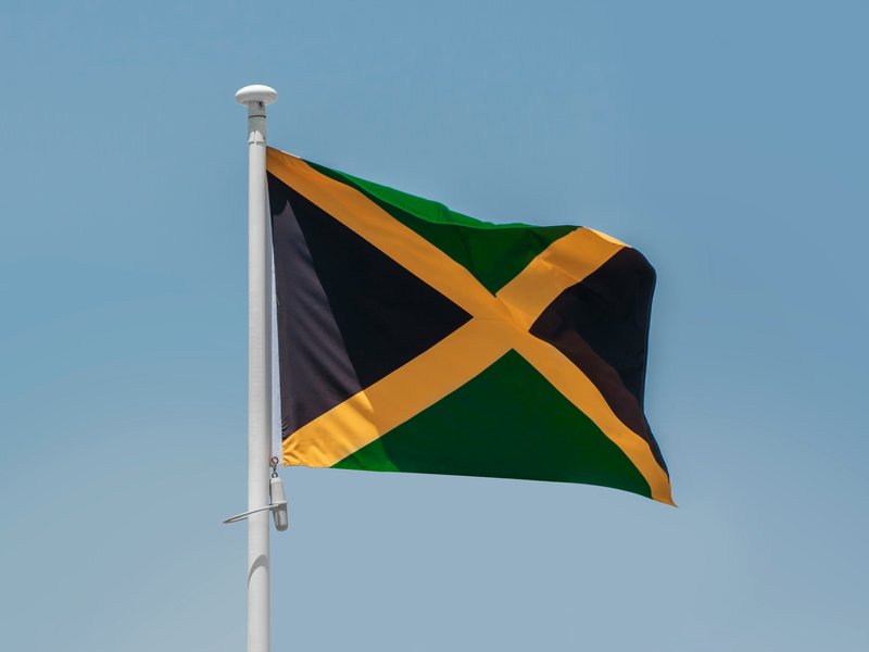 A photo of the Jamaican national flag.